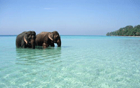 Golden Triangle Tour